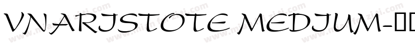 VnAristote Medium字体转换